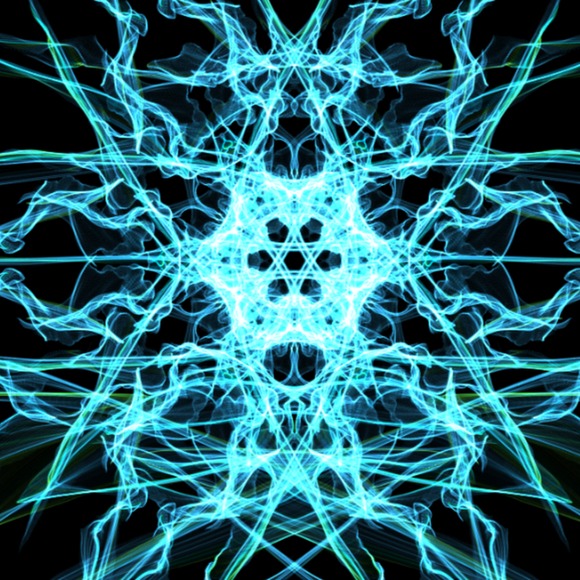 Meet your Posher, Logan - Picture 1 of 1